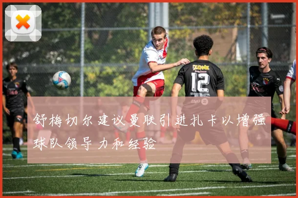 舒梅切尔建议曼联引进扎卡以增强球队领导力和经验